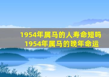 1954年属马的人寿命短吗 1954年属马的晚年命运